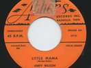 Hear- Rare Rockabilly 45- Andy Wilson- Little Mama- Athens Records # 700 - M-