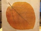 EXC LP PETE JOLLY Seasons {Original 1970 A&M Issue] (rare jazz)