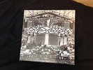 Dystopia/Embittered split Human=Garbage/Aftermath/Skaven/Greif...