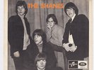 SHANES I Don't Care Babe RARE swedish garage 45 mod dancer psych beat LISTEN