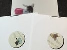 RED HOT CHILI PEPPERS - I'M WITH YOU (GATEFOLD)**2 VINYL SET