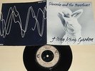 SIOUXSIE AND THE BANSHEES  7