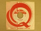 The FRINGE 1968 EASTERN GARAGE PSYCH FUZZ 45 