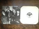 THE DAMNED new rose WHITE 12