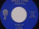 FI TONES: Wake Up / You’ll Be Last RARE Angle Tone DOO WOP 45 NM-