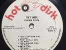 HOT DISK - HORACE ANDY - GET WISE - LP 33T '75 RARE ROOTS REGGAE EX- ?