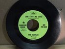 Beatles Can’t Buy Me Love You Can’t Do That LIME GREEN PROMO LABEL CAPITOL