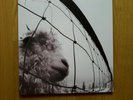PEARL JAM Vs. 180 gr. Vinyl
