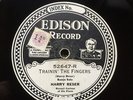 HARRY RESER - ‘TRAININ’ THE FINGERS’ 1929 ELECTRIC EDISON DIAMOND DISC RARITY