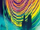 TAME IMPALA - LIVE VERSIONS NEW VINYL