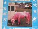 EAST RIVER PIPE-POOR FRICKY ON MERGE INDIE POP TWEE LP-VG++