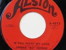 JIMMIE BO HORNE-IF YOU WANT MY LOVE / ON THE STREET CORNER ON ALSTON NORTHERN 45
