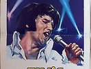 THAT's THE WAY IT IS Italian cinema poster 1971 Elvis PRESLEY