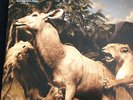 INTERPOL OUR LOVE TO ADMIRE LP 2 VINYL RECORD AND COVER IN EX CONDITION