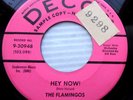 THE FLAMINGOS doowop 45 HEY NOW b/w JERRI-LEE pink decca PROMO e7986