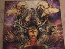 Protest The Hero Fortress Vinyl