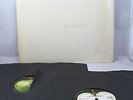 THE BEATLES - WHITE ALBUM - STEREO TOP LOADER - LOW NUMBER 61424 - VG+ - EX PLAY