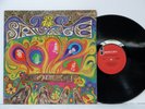 THE SAVAGE RESURRECTION 1968 RARE 1st Press LP Reverb FUZZ Psych PLAY GRADED