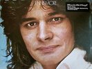 COLIN BLUNSTONE - ENNISMORE - VINYL LP RECORD NEW SEALED