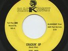 HEAR - Rare Texas Garage 45 - The Wig - Crackin' Up - Blacknight Records # 903