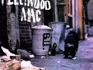 Fleetwood Mac - Peter Green's Fleetwood Mac [Vinyl New]