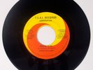 RENEE WILLIAMS: Special to Me / Are you My Brother TEAI Detroit 70s Soul 45 Hear