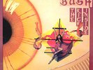 Kate Bush  3x LPs  The Kick Inside, Lionheart, Never For Ever