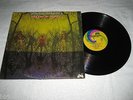AMERICAN BLUES - Do Their Thing - Rare Original ZZ TOP Blues Psych LP EX+ clean