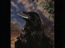 Stranglers The Raven - 3D Sleeve - EX UK vinyl LP album record UAG30262