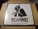 LP:  SLANG - Devastation In The Void  NEW SEALED JAPAN HARDCORE PUNK