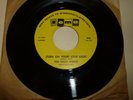 MINNIAPOLIS GARAGE BAND 45 RPM RECORD - THE HIGH SPIRITS - SOMA 1436
