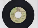 ARTISTE CORNER/ TERRITORY  -  HOPETON LINDO  (87 DIGI ROOTS 7