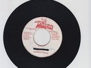 TAURUS/ COME ON AND DANCE  -  SKANKING DREAD  (88  DIGI ROOTS 7