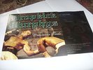 Dropkick Murphys-The Warriors Code LP 2005 Hellcat Records Punk Rock