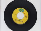 BLUE CAT/ EVERYDAY IS LIKE A HOLIDAY -  TREVOR & THE MAYTONES (69 SKINHEAD 7