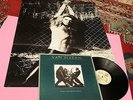 VAN HALEN LP WOMEN AND CHILDREN 1°ST ORIG ITALY 1980 EX+ CON POSTER GIGANTE
