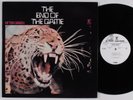 PETER GREEN The End Of The Game REPRISE LP NM wlp