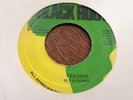 Michael Palmer -have got a problem baby 45RPM NM