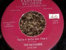 PRIVATE 1966 WI Garage 45 - THE MATADORS 