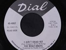 WHAT-KNOTS: I Ain't Dead Yet 45 (dj, light pressing bubble affecting play w/ li