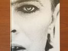 RARE BOOK  David Bowie - Passenger - Photo Book by Philippe Auliac -