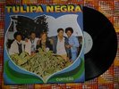 ? TULIPA NEGRA INSANE AFRO FUNANA COSMIC SYNTH TROPICAL BEAT FESTIVAL Cabo Verde
