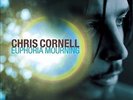 Euphoria Morning by Chris Cornell.