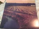 Glamour Kills Tour Vinyl Black WONDER YEARS THE STORY SO FAR TRANSIT