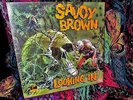 SEALED  1970 ORIG   SAVOY BROWN   LOOKING IN   HARD DRIVING BLUES - PRE FOGHAT
