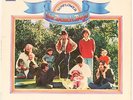 SUNFLOWER  THE BEACH BOYS  Vinyl Record