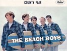 Beach Boys 