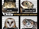 The Four Owls - Natures Greatest Mystery Vinyl 2LP NEU 0952677