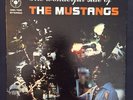 Islands Reggae Soul Funk LP THE MUSTANGS Wonderful Side GBI BAHAMAS Frank Penn