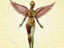 In Utero by Nirvana.